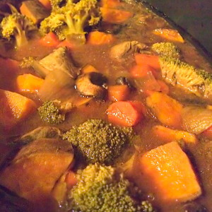 beef and vegetable stew