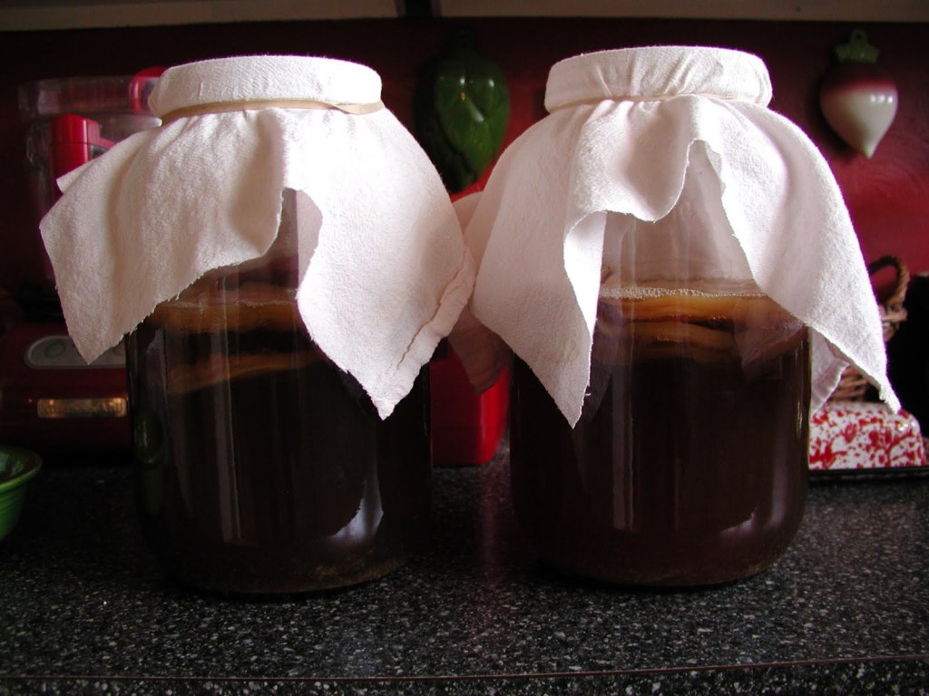 http://jillmacnutrition.com/wp-content/uploads/2014/12/kombucha-1024x768.jpg