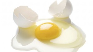 factory-farmed egg