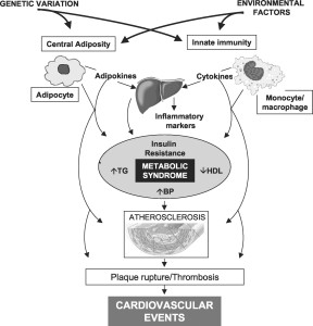 metabolic syndrome