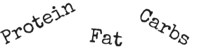 protein fat carbs